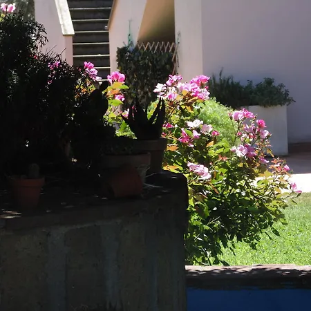 Il Borgo Degli Ulivi Farm stay Pescia Romana