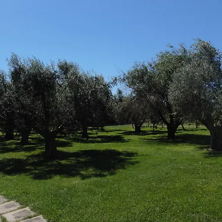 Farm stay Il Borgo Degli Ulivi *