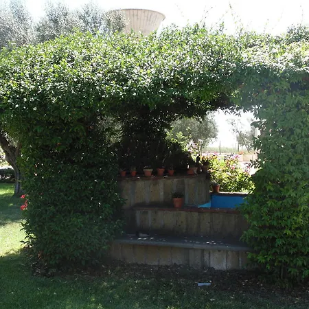 Il Borgo Degli Ulivi