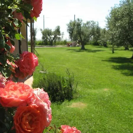 Il Borgo Degli Ulivi Farm stay
