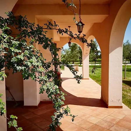 Farm stay Il Borgo Degli Ulivi