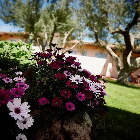 Il Borgo Degli Ulivi Farm stay