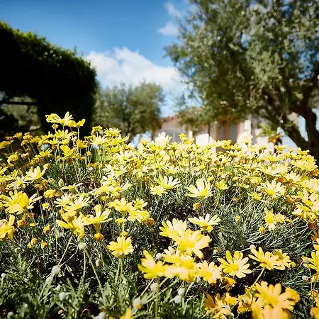 Il Borgo Degli Ulivi Farm stay
