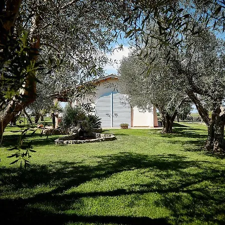 Farm stay Il Borgo Degli Ulivi *