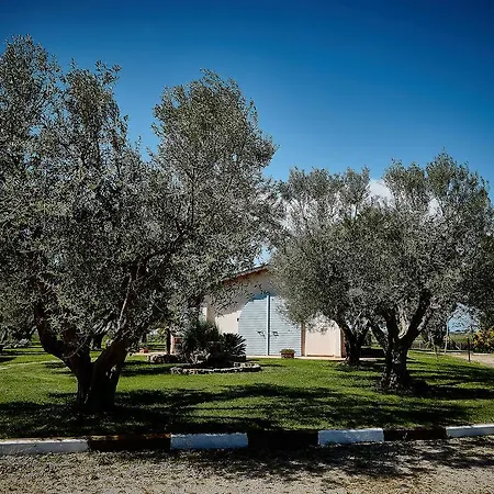Il Borgo Degli Ulivi
